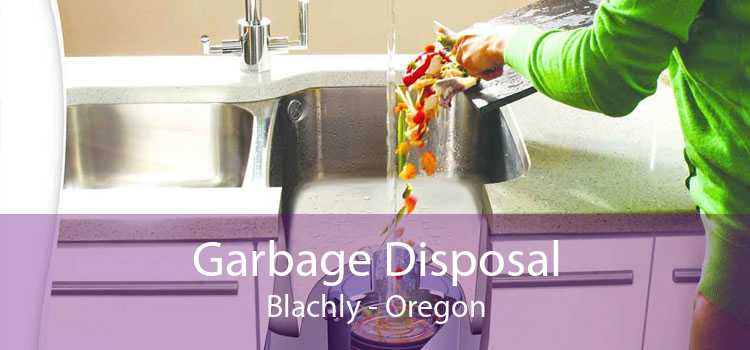 Garbage Disposal Blachly - Oregon