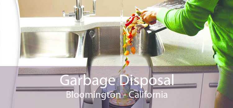 Garbage Disposal Bloomington - California