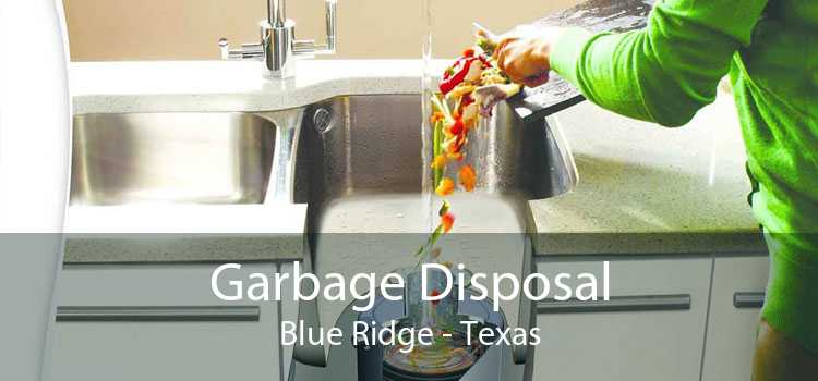 Garbage Disposal Blue Ridge - Texas