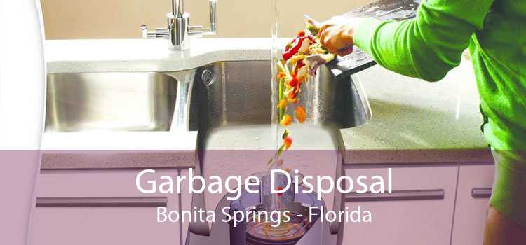 Garbage Disposal Bonita Springs - Florida