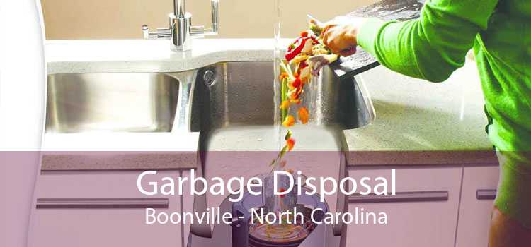 Garbage Disposal Boonville - North Carolina