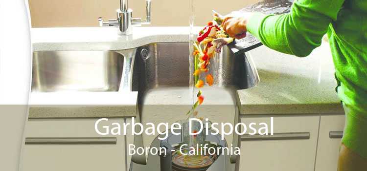 Garbage Disposal Boron - California