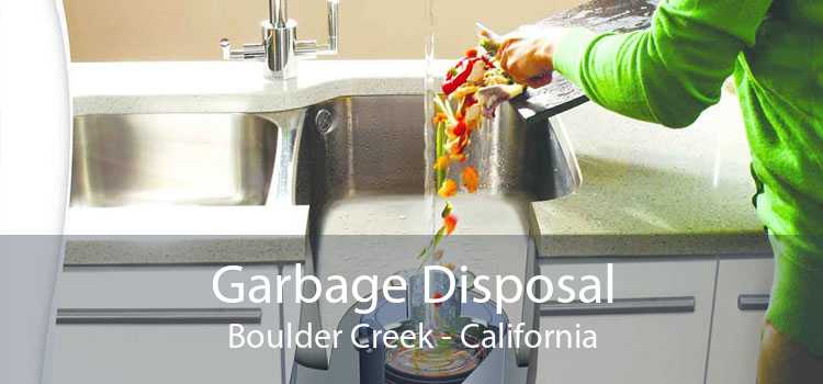 Garbage Disposal Boulder Creek - California