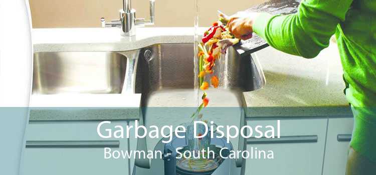 Garbage Disposal Bowman - South Carolina
