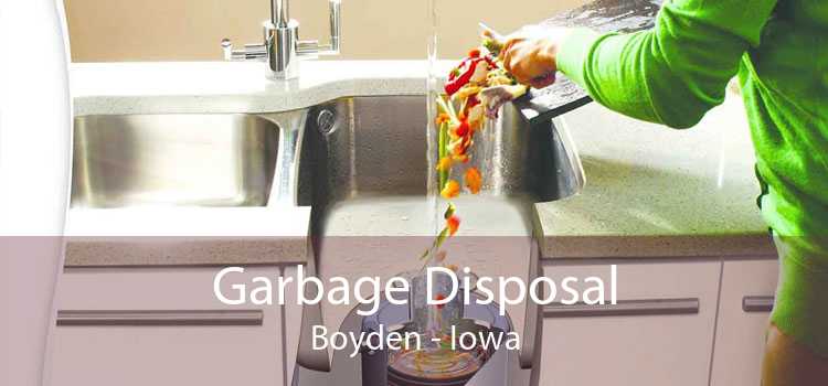 Garbage Disposal Boyden - Iowa