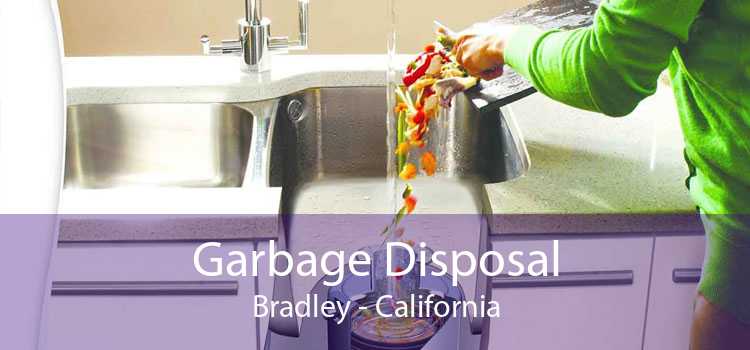 Garbage Disposal Bradley - California