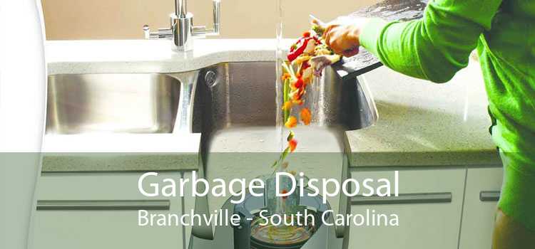 Garbage Disposal Branchville - South Carolina