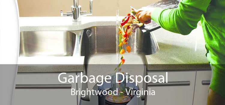 Garbage Disposal Brightwood - Virginia