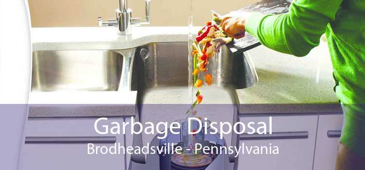 Garbage Disposal Brodheadsville - Pennsylvania