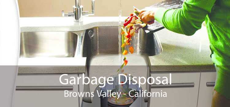 Garbage Disposal Browns Valley - California