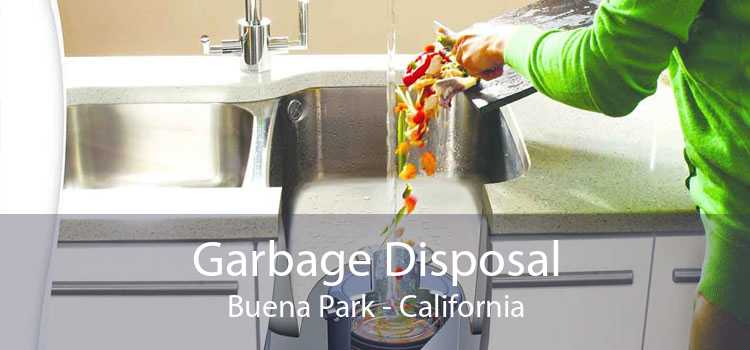 Garbage Disposal Buena Park - California