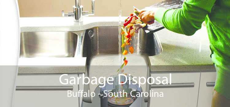 Garbage Disposal Buffalo - South Carolina