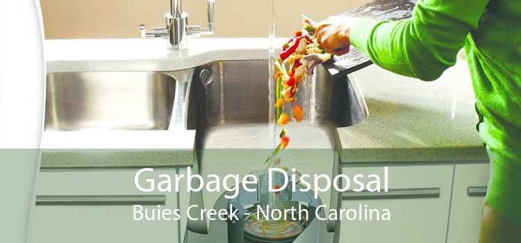 Garbage Disposal Buies Creek - North Carolina