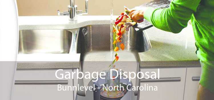 Garbage Disposal Bunnlevel - North Carolina