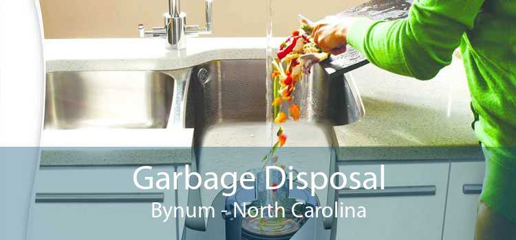 Garbage Disposal Bynum - North Carolina