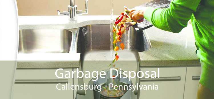 Garbage Disposal Callensburg - Pennsylvania