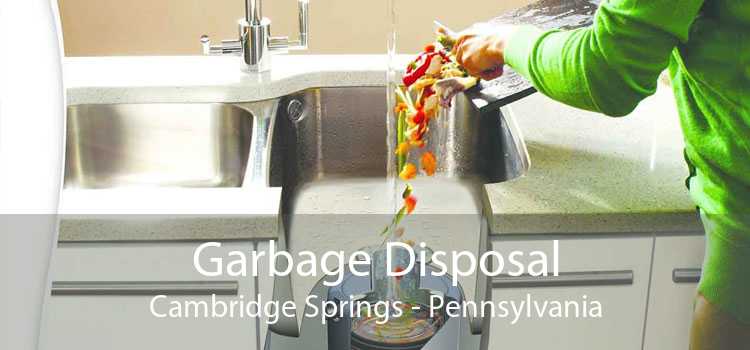 Garbage Disposal Cambridge Springs - Pennsylvania