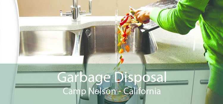 Garbage Disposal Camp Nelson - California
