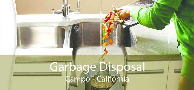Garbage Disposal Campo - California