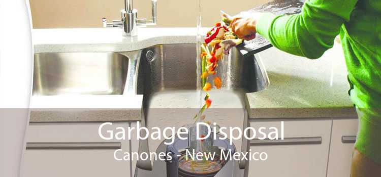 Garbage Disposal Canones - New Mexico