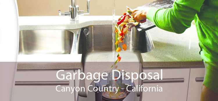 Garbage Disposal Canyon Country - California
