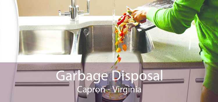 Garbage Disposal Capron - Virginia