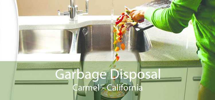 Garbage Disposal Carmel - California