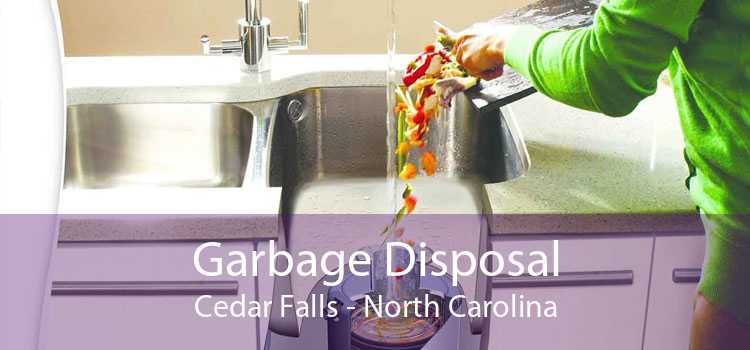 Garbage Disposal Cedar Falls - North Carolina