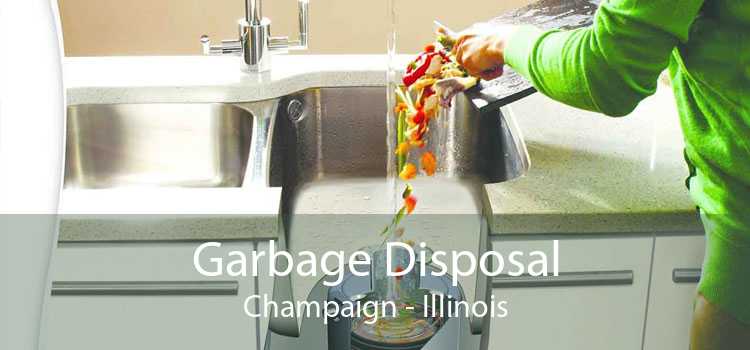 Garbage Disposal Champaign - Illinois