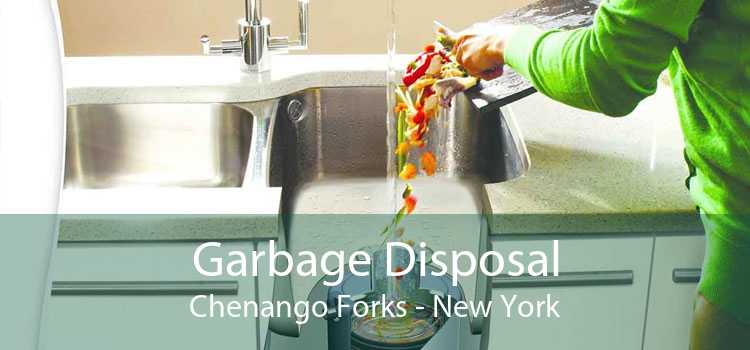 Garbage Disposal Chenango Forks - New York