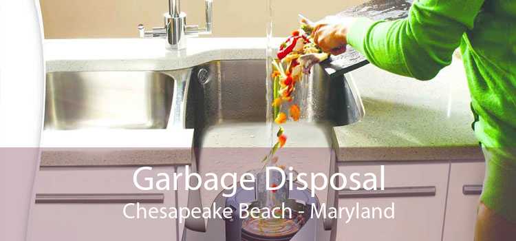 Garbage Disposal Chesapeake Beach - Maryland
