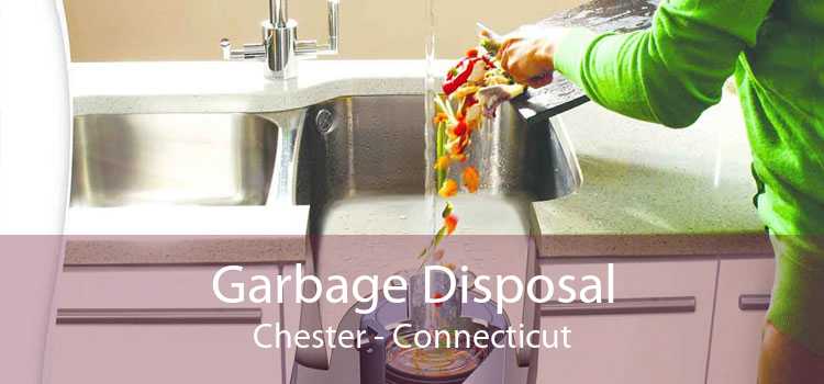 Garbage Disposal Chester - Connecticut