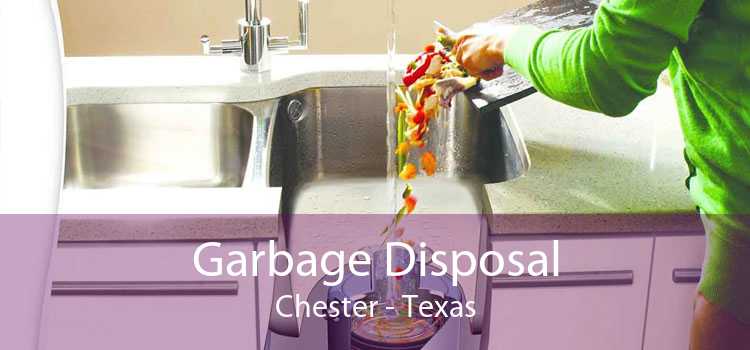 Garbage Disposal Chester - Texas