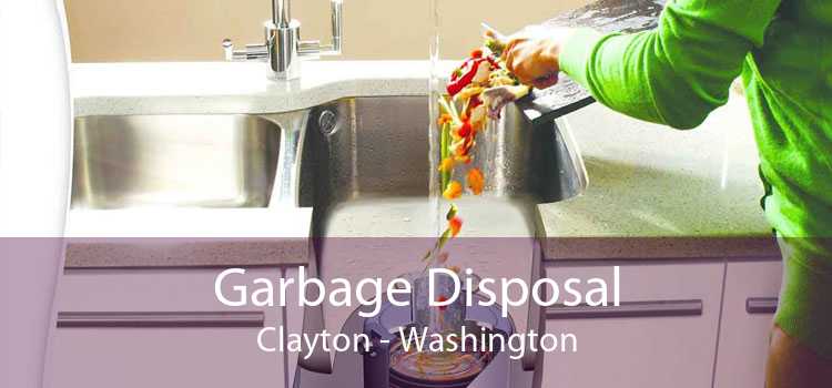 Garbage Disposal Clayton - Washington