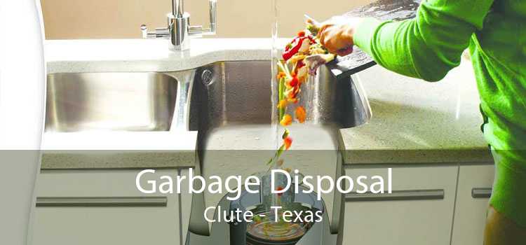 Garbage Disposal Clute - Texas