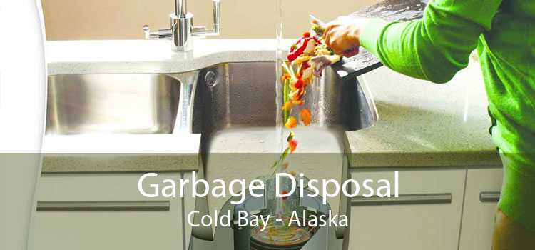 Garbage Disposal Cold Bay - Alaska