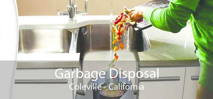 Garbage Disposal Coleville - California