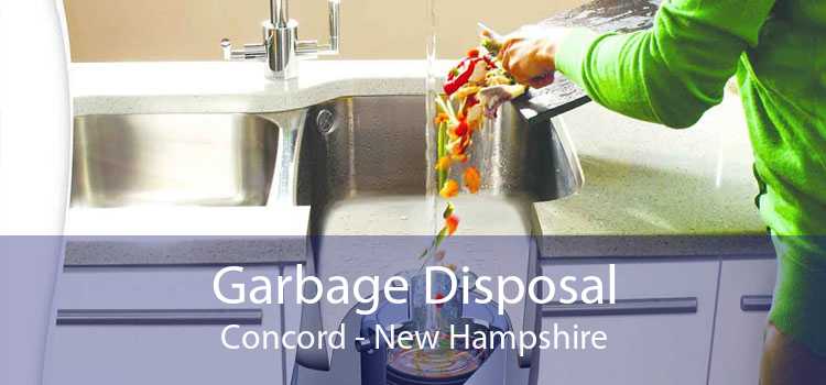 Garbage Disposal Concord - New Hampshire