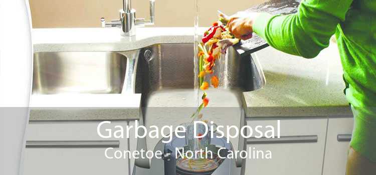 Garbage Disposal Conetoe - North Carolina