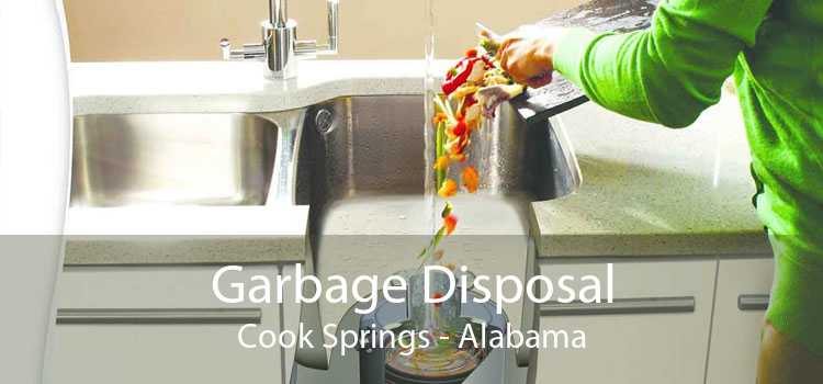 Garbage Disposal Cook Springs - Alabama