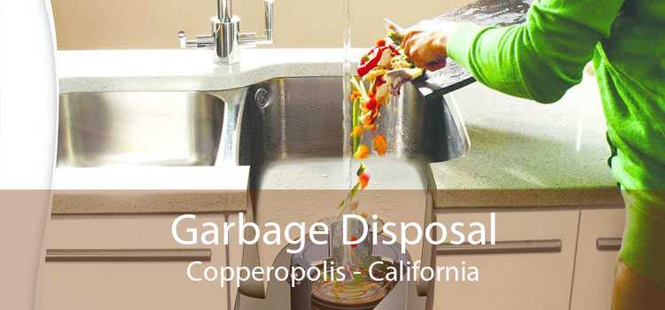 Garbage Disposal Copperopolis - California