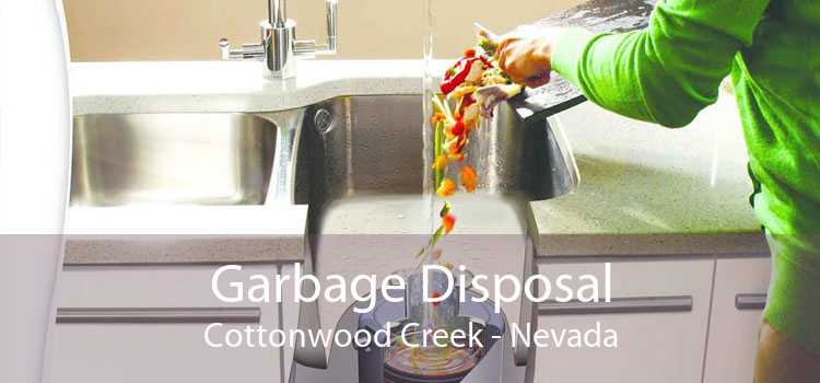 Garbage Disposal Cottonwood Creek - Nevada