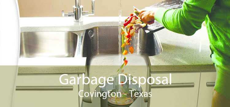 Garbage Disposal Covington - Texas