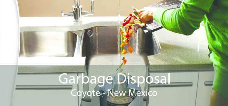 Garbage Disposal Coyote - New Mexico