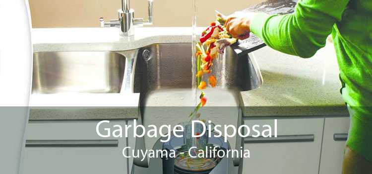 Garbage Disposal Cuyama - California