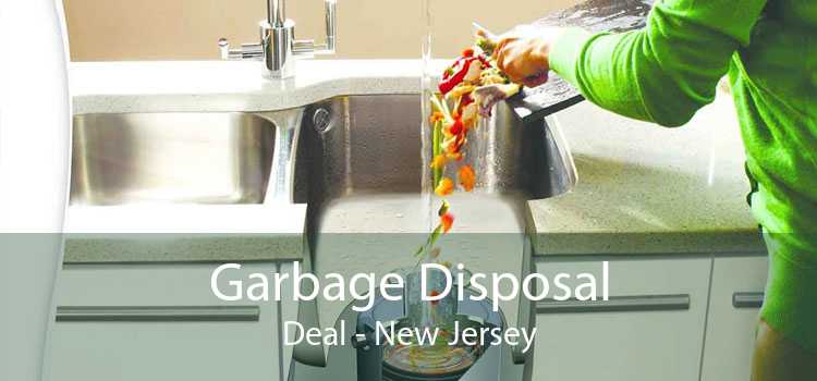 Garbage Disposal Deal - New Jersey