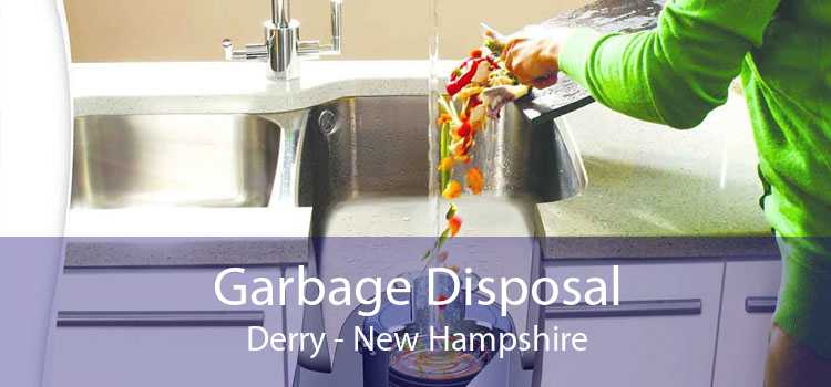 Garbage Disposal Derry - New Hampshire