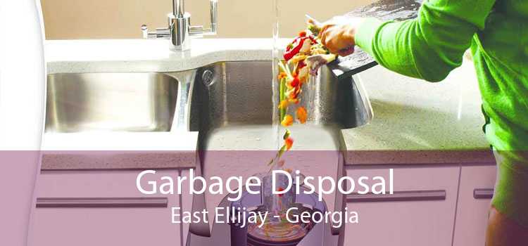 Garbage Disposal East Ellijay - Georgia