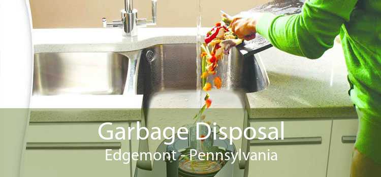 Garbage Disposal Edgemont - Pennsylvania