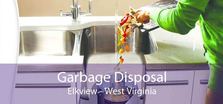 Garbage Disposal Elkview - West Virginia